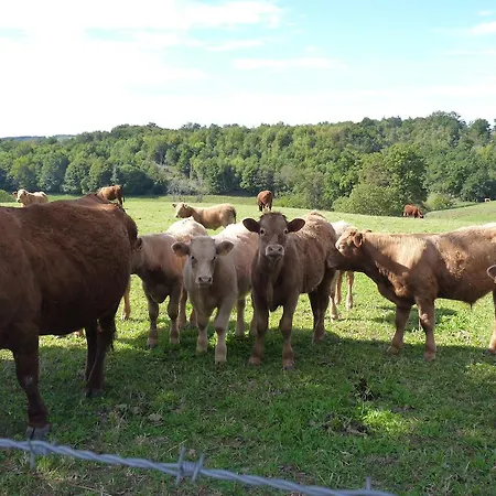 D'hotes - Domaine De La Grangeotte