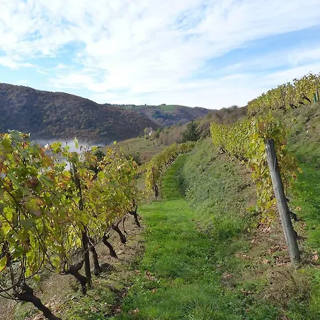 Bed & Breakfast D'hotes - Domaine De La Grangeotte