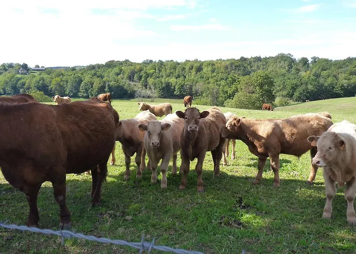 D'hotes - Domaine De La Grangeotte