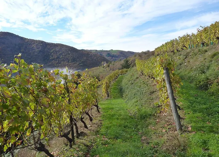 Bed & Breakfast D'hotes - Domaine De La Grangeotte